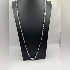 Emmons Porcelain Blue Rose Silver Plated Long 34” Necklace